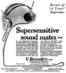 Brandes 1923 112.jpg